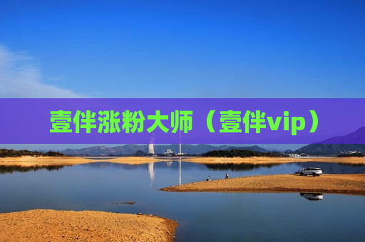 壹伴涨粉大师（壹伴vip）