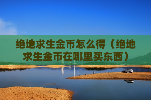 绝地求生金币怎么得（绝地求生金币在哪里买东西）