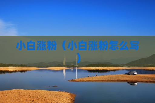 小白涨粉（小白涨粉怎么写）