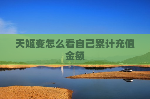 天姬变怎么看自己累计充值金额