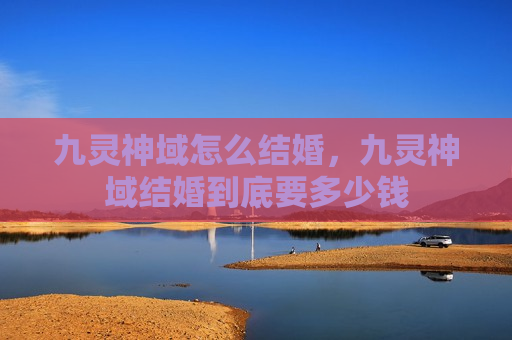 九灵神域怎么结婚，九灵神域结婚到底要多少钱