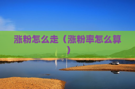 涨粉怎么走（涨粉率怎么算）
