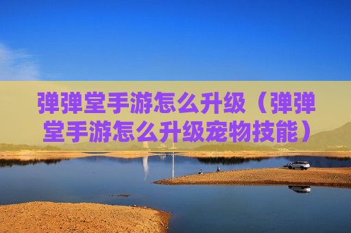 弹弹堂手游怎么升级（弹弹堂手游怎么升级宠物技能）