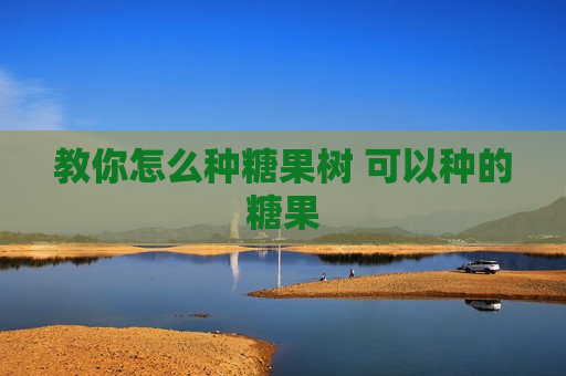 教你怎么种糖果树 可以种的糖果