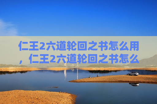 仁王2六道轮回之书怎么用，仁王2六道轮回之书怎么使用?