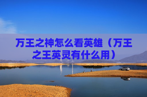万王之神怎么看英雄（万王之王英灵有什么用）