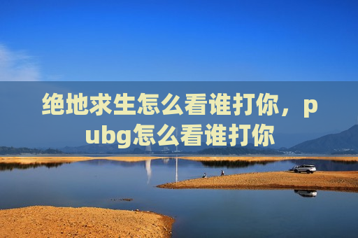 绝地求生怎么看谁打你，pubg怎么看谁打你