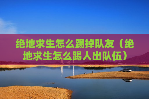 绝地求生怎么踢掉队友（绝地求生怎么踢人出队伍）