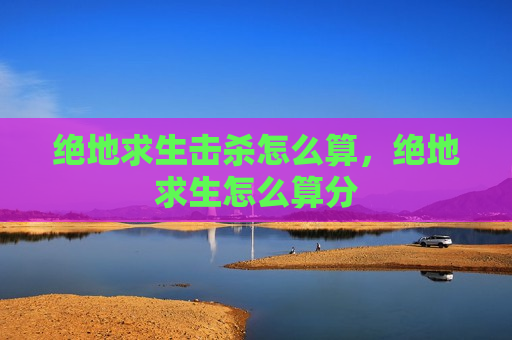 绝地求生击杀怎么算，绝地求生怎么算分