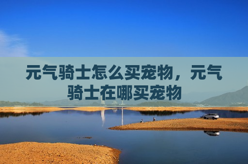 元气骑士怎么买宠物，元气骑士在哪买宠物
