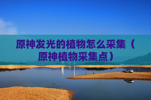 原神发光的植物怎么采集（原神植物采集点）