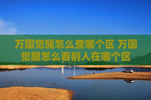 万国觉醒怎么查哪个区 万国觉醒怎么看别人在哪个区