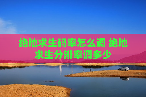 绝地求生码率怎么调 绝地求生分辨率调多少