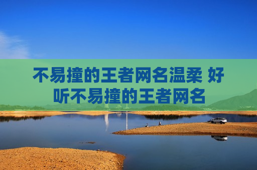 不易撞的王者网名温柔 好听不易撞的王者网名