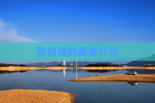 涨粉姐的简单介绍