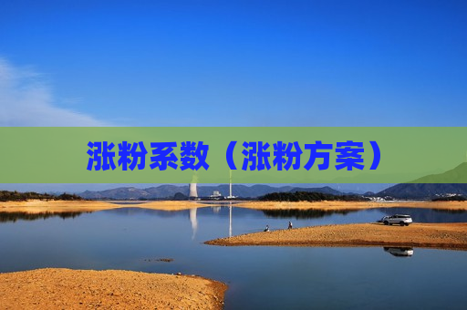 涨粉系数（涨粉方案）