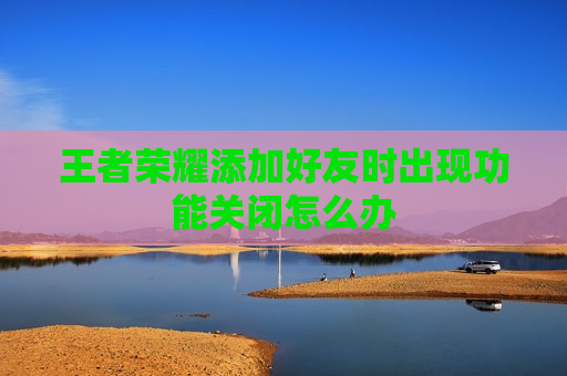 王者荣耀添加好友时出现功能关闭怎么办