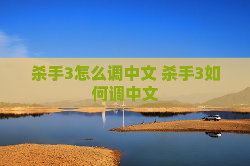 杀手3怎么调中文 杀手3如何调中文