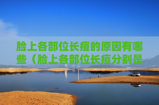 脸上各部位长痘的原因有哪些（脸上各部位长痘分别是什么原因）