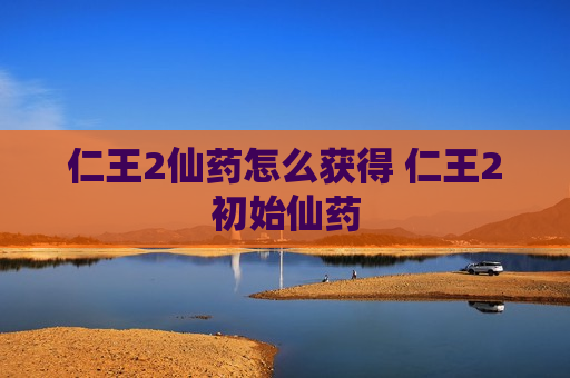 仁王2仙药怎么获得 仁王2初始仙药