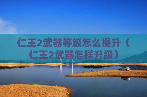 仁王2武器等级怎么提升（仁王2武器怎样升级）
