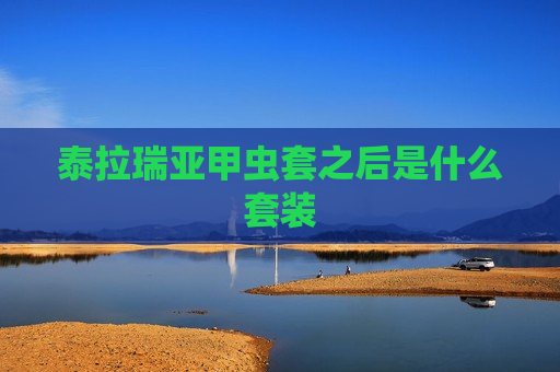 泰拉瑞亚甲虫套之后是什么套装