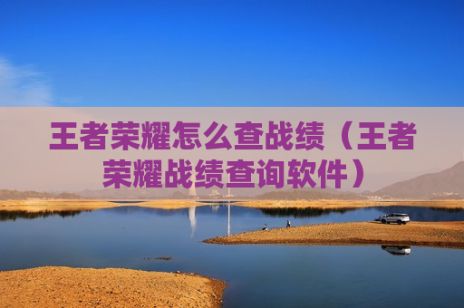 王者荣耀怎么查战绩（王者荣耀战绩查询软件）