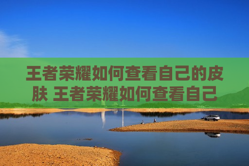 王者荣耀如何查看自己的皮肤 王者荣耀如何查看自己的皮肤总价值