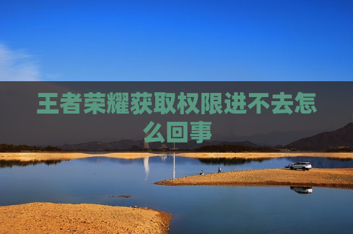 王者荣耀获取权限进不去怎么回事