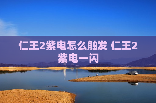 仁王2紫电怎么触发 仁王2紫电一闪