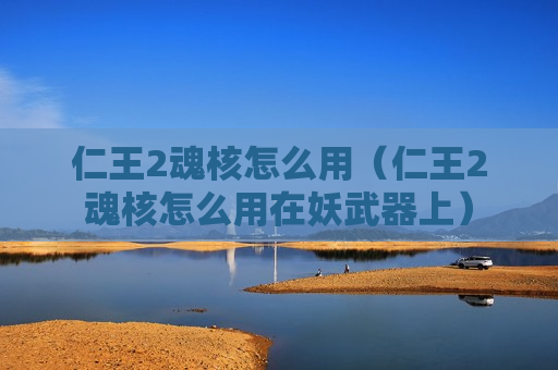 仁王2魂核怎么用（仁王2魂核怎么用在妖武器上）