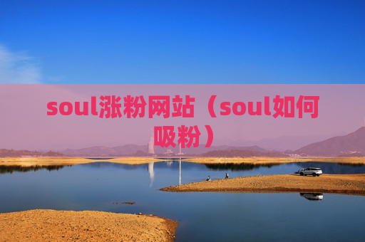 soul涨粉网站（soul如何吸粉）