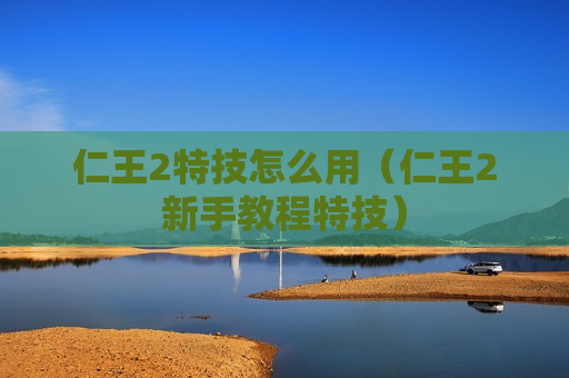 仁王2特技怎么用（仁王2新手教程特技）