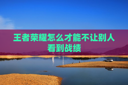 王者荣耀怎么才能不让别人看到战绩