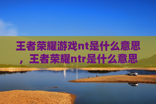 王者荣耀游戏nt是什么意思，王者荣耀ntr是什么意思