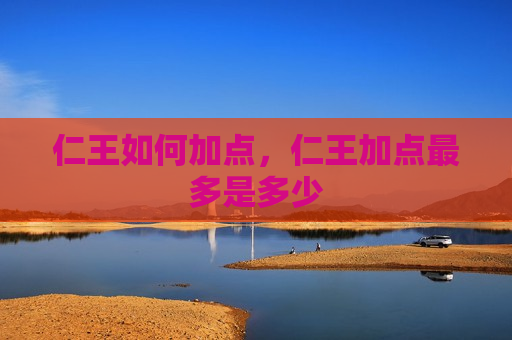 仁王如何加点，仁王加点最多是多少
