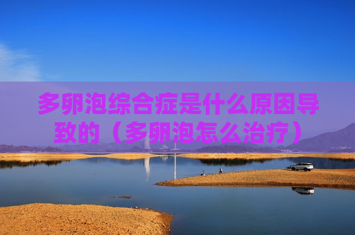 多卵泡综合症是什么原因导致的（多卵泡怎么治疗）