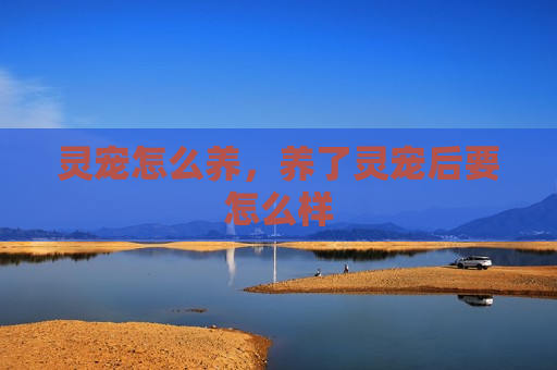 灵宠怎么养，养了灵宠后要怎么样