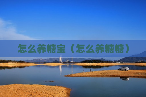 怎么养糖宝（怎么养糖糖）