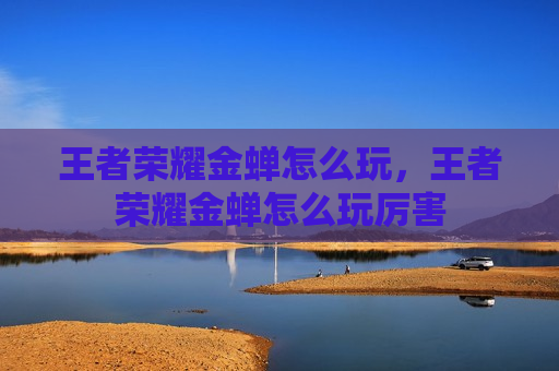 王者荣耀金蝉怎么玩，王者荣耀金蝉怎么玩厉害