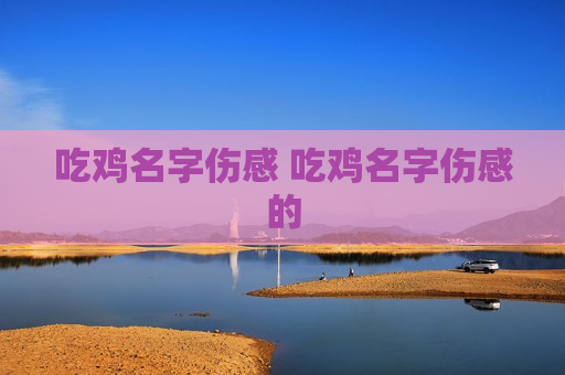 吃鸡名字伤感 吃鸡名字伤感的