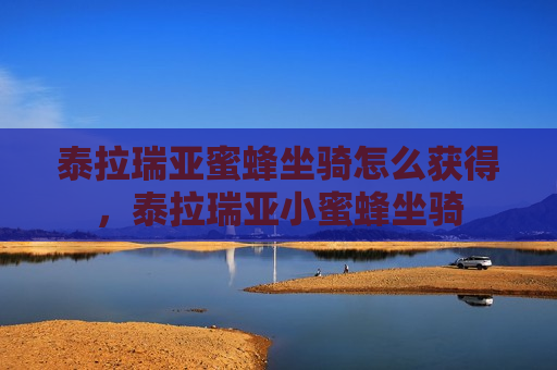 泰拉瑞亚蜜蜂坐骑怎么获得，泰拉瑞亚小蜜蜂坐骑