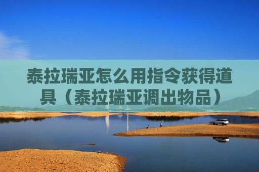 泰拉瑞亚怎么用指令获得道具（泰拉瑞亚调出物品）