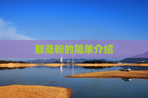 那涨粉的简单介绍