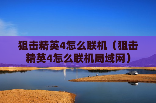 狙击精英4怎么联机（狙击精英4怎么联机局域网）