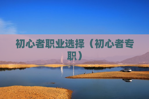 初心者职业选择（初心者专职）