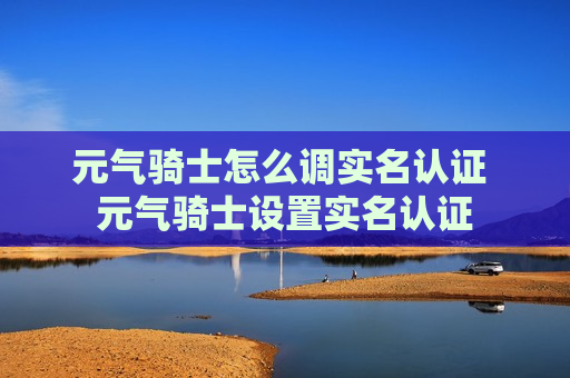 元气骑士怎么调实名认证 元气骑士设置实名认证