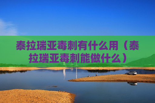 泰拉瑞亚毒刺有什么用（泰拉瑞亚毒刺能做什么）