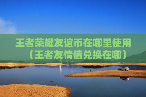 王者荣耀友谊币在哪里使用（王者友情值兑换在哪）