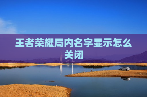 王者荣耀局内名字显示怎么关闭